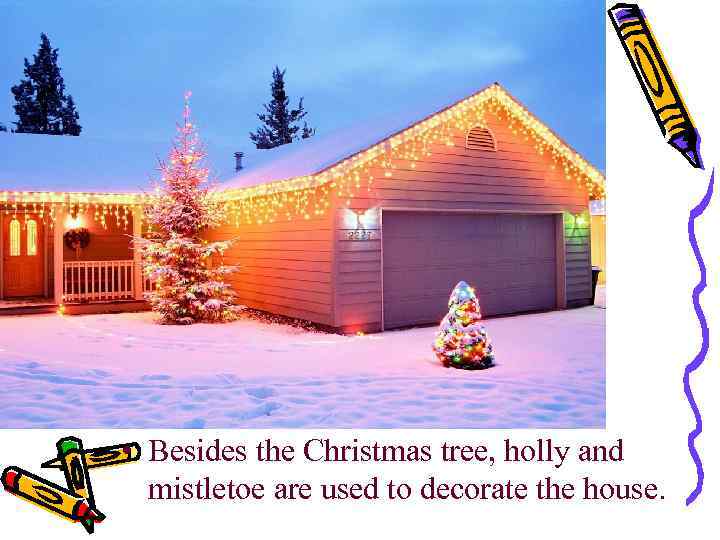  • Besides the Christmas tree, holly and mistletoe are used to decorate the