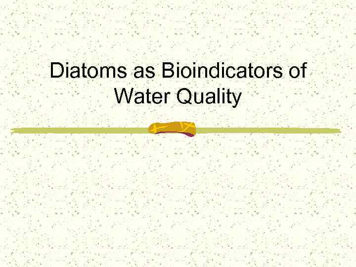 Diatoms as Bioindicators of Water Quality 