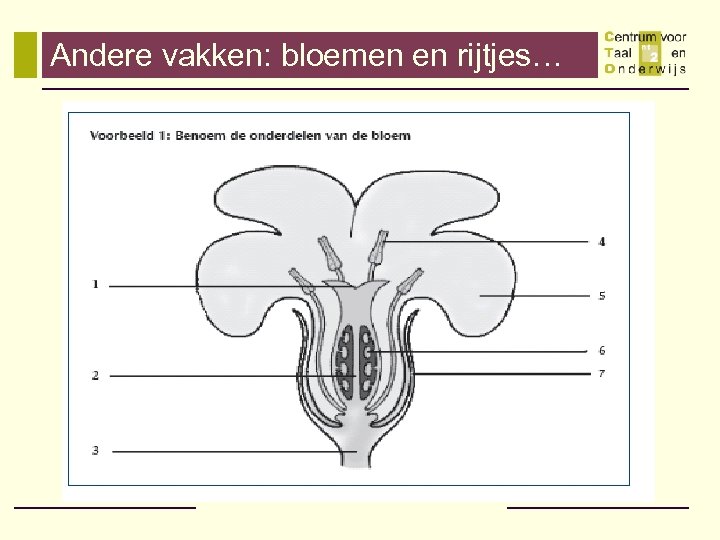 Andere vakken: bloemen en rijtjes… 