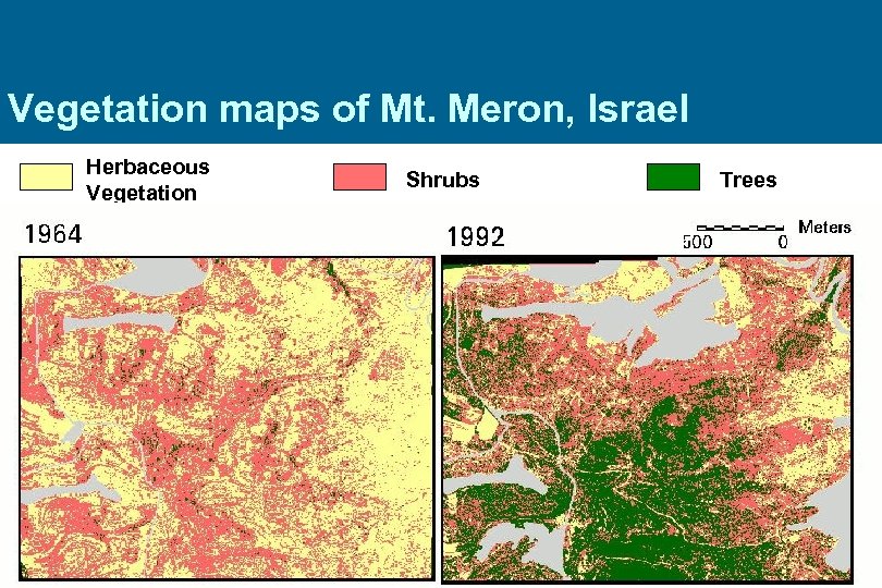 Vegetation maps of Mt. Meron, Israel Herbaceous Vegetation Shrubs Trees 