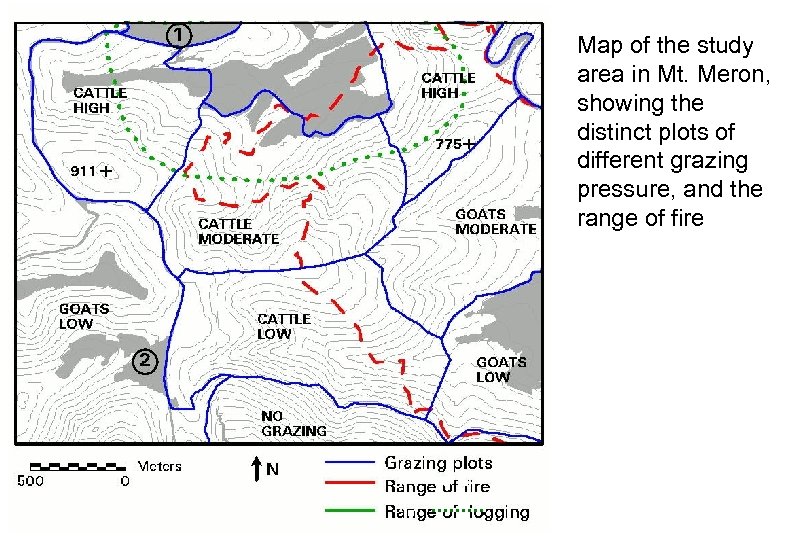 Map of the study area in Mt. Meron, showing the distinct plots of different