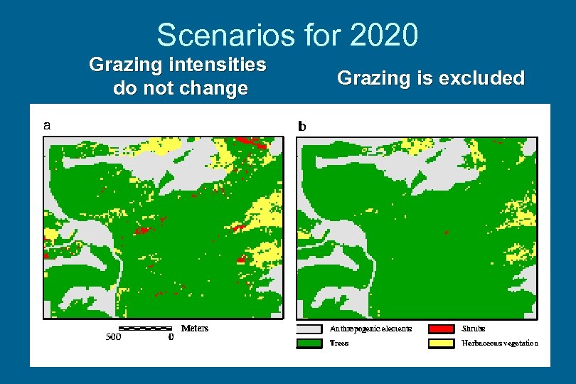 Scenarios for 2020 Grazing intensities do not change Grazing is excluded 