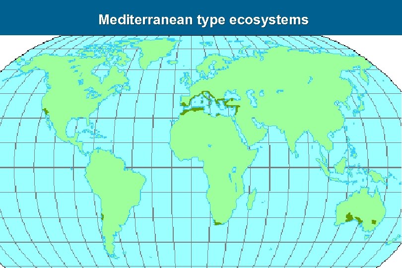 Mediterranean type ecosystems 