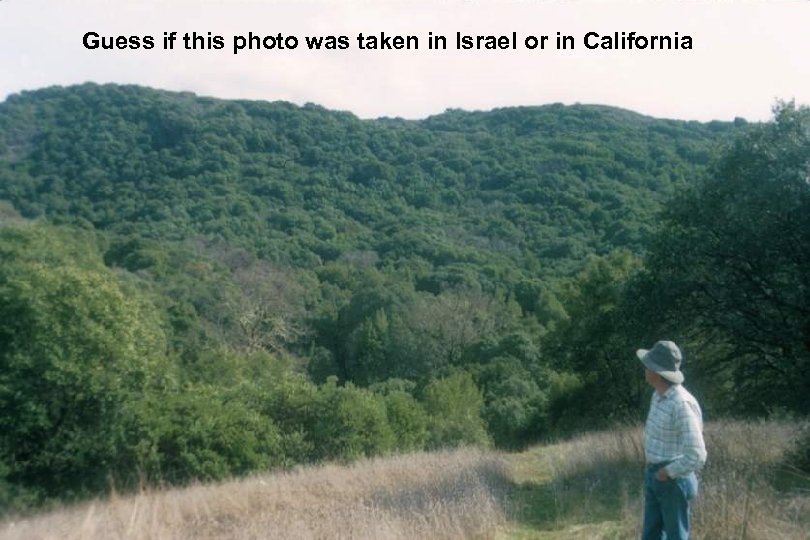 Guess if this photo was taken in Israel or in California 