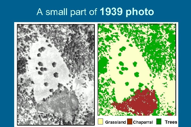 A small part of 1939 photo Grassland Chaparral Trees 