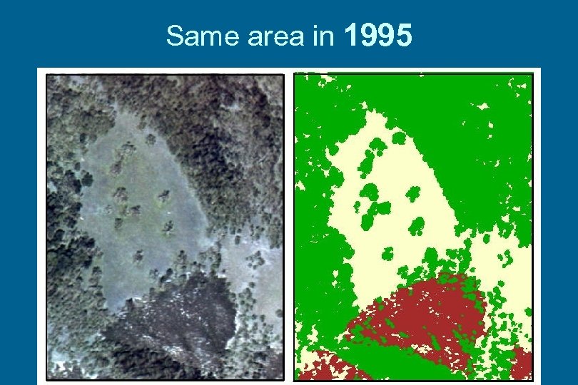 Same area in 1995 