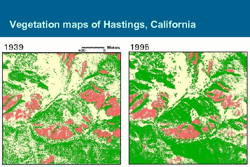 Vegetation maps of Hastings, California 