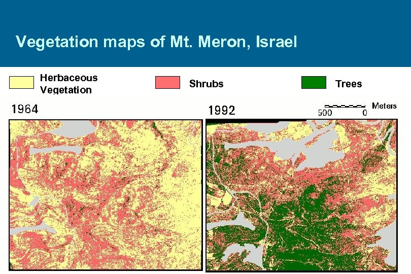 Vegetation maps of Mt. Meron, Israel Herbaceous Vegetation Shrubs Trees 