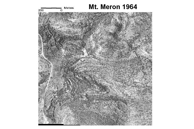 Mt. Meron 1964 