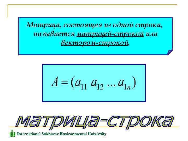 Матрица, состоящая из одной строки, называется матрицей-строкой или вектором-строкой. International Sakharov Environmental University 