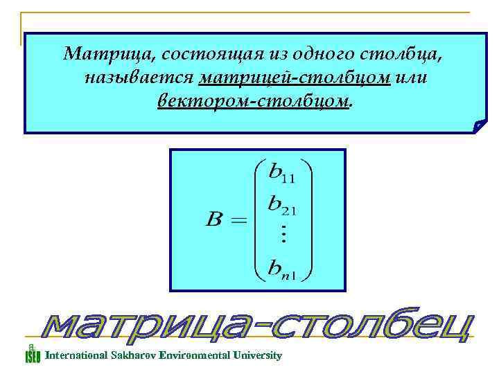 Матрица, состоящая из одного столбца, называется матрицей-столбцом или вектором-столбцом. International Sakharov Environmental University 