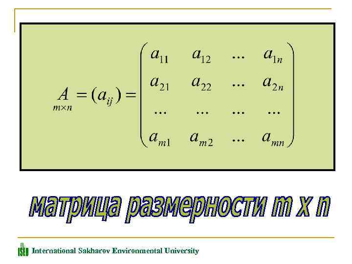 International Sakharov Environmental University 