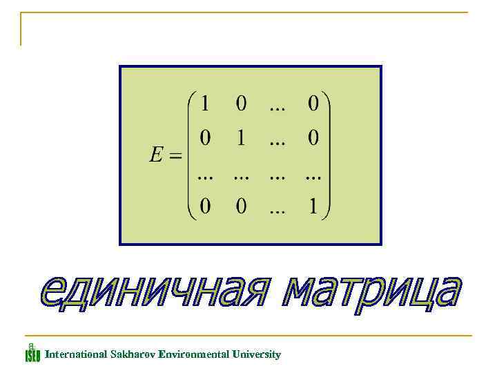 International Sakharov Environmental University 