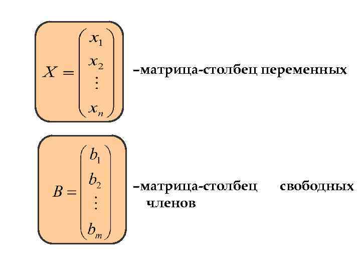 Матрица столбец. Свободные переменные матрицы. Переменные в матрице. Свободные члены матрицы. Матричная переменная.