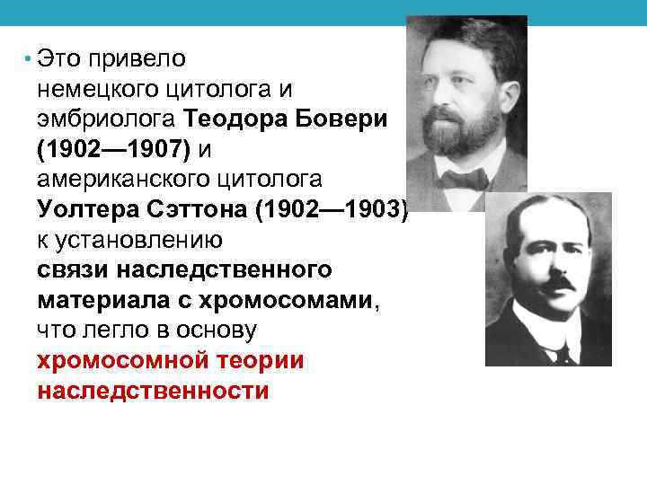  • Это привело немецкого цитолога и эмбриолога Теодора Бовери (1902— 1907) и американского