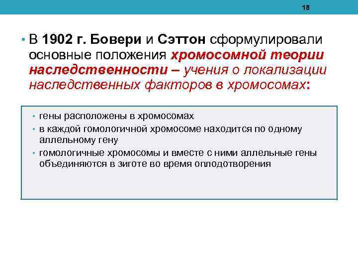 18 • В 1902 г. Бовери и Сэттон сформулировали основные положения хромосомной теории наследственности