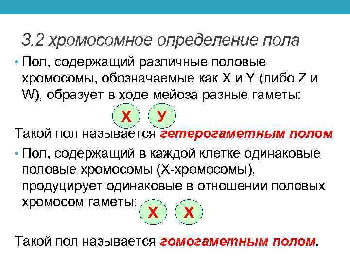 3. 2 хромосомное определение пола • Пол, содержащий различные половые хромосомы, обозначаемые как X