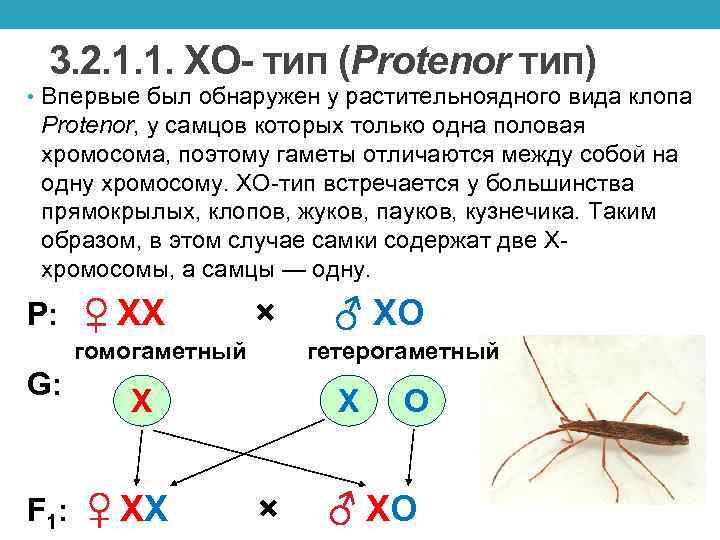 Обнаружен неизвестный тип теней illustrator