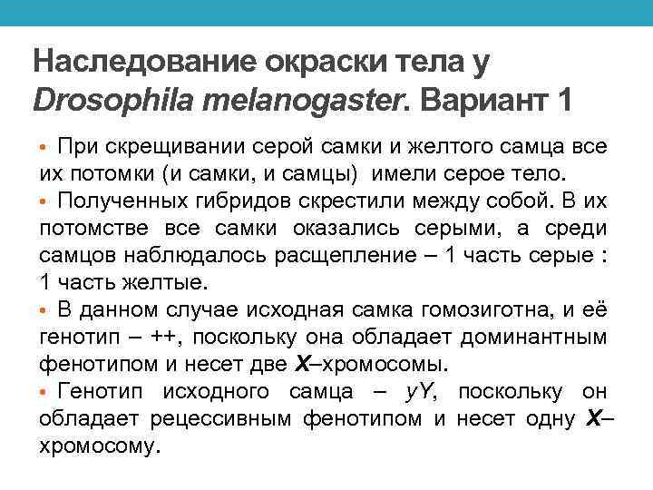 Наследование окраски тела у Drosophila melanogaster. Вариант 1 • При скрещивании серой самки и