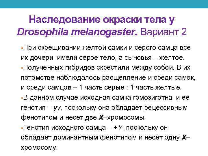 Наследование окраски тела у Drosophila melanogaster. Вариант 2 • При скрещивании желтой самки и