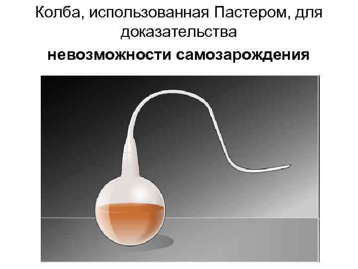 Колба, использованная Пастером, для доказательства невозможности самозарождения 