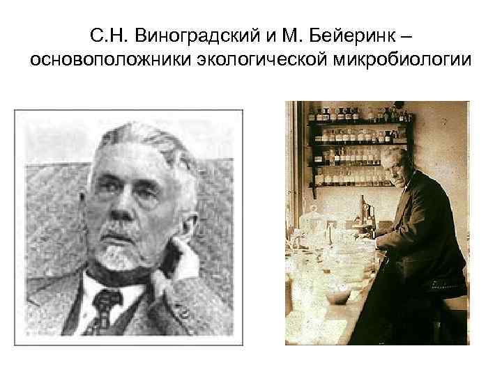 С. Н. Виноградский и М. Бейеринк – основоположники экологической микробиологии 