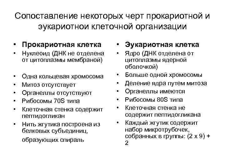 Сопоставление некоторых черт прокариотной и эукариотнои клеточной организации • Прокариотная клетка • Эукариотная клетка