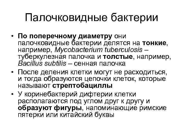 Палочковидные бактерии • По поперечному диаметру они палочковидные бактерии делятся на тонкие, например, Mycobacterium