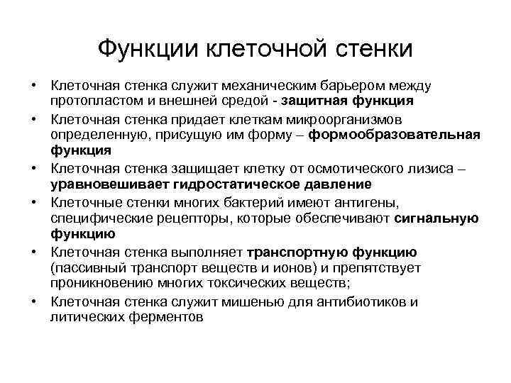Функции клеточной стенки • Клеточная стенка служит механическим барьером между протопластом и внешней средой