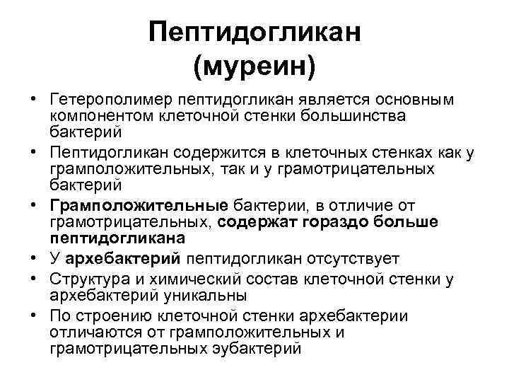 Пептидогликан (муреин) • Гетерополимер пептидогликан является основным компонентом клеточной стенки большинства бактерий • Пептидогликан