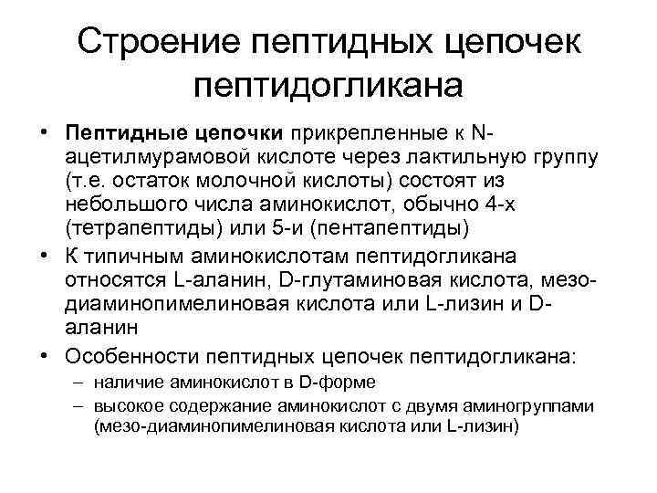 Строение пептидных цепочек пептидогликана • Пептидные цепочки прикрепленные к Nацетилмурамовой кислоте через лактильную группу