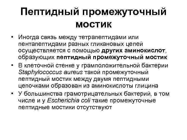 Пептидный промежуточный мостик • Иногда связь между тетрапептидами или пентапептидами разных гликановых цепей осуществляется