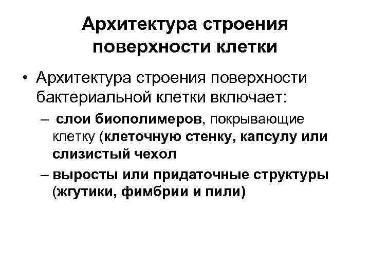 Архитектура строения поверхности клетки • Архитектура строения поверхности бактериальной клетки включает: – слои биополимеров,