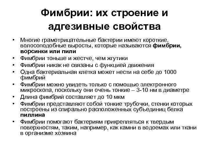 Фимбрии: их строение и адгезивные свойства • Многие грамотрицательные бактерии имеют короткие, волосоподобные выросты,