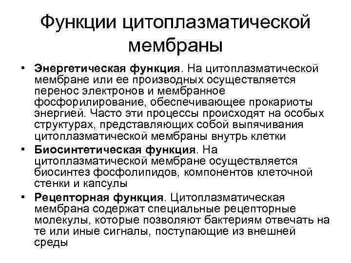 Функции цитоплазматической мембраны • Энергетическая функция. На цитоплазматической мембране или ее производных осуществляется перенос