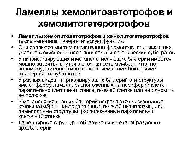 Ламеллы хемолитоавтотрофов и хемолитогетеротрофов • Ламеллы хемолитоавтотрофов и хемолитогетеротрофов также выполняют энергетическую функцию •