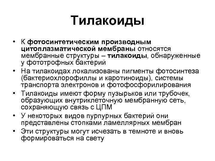 Тилакоиды • К фотосинтетическим производным цитоплазматической мембраны относятся мембранные структуры – тилакоиды, обнаруженные у