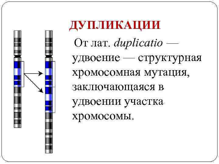 На какой из картинок изображена хромосомная мутация транслокация