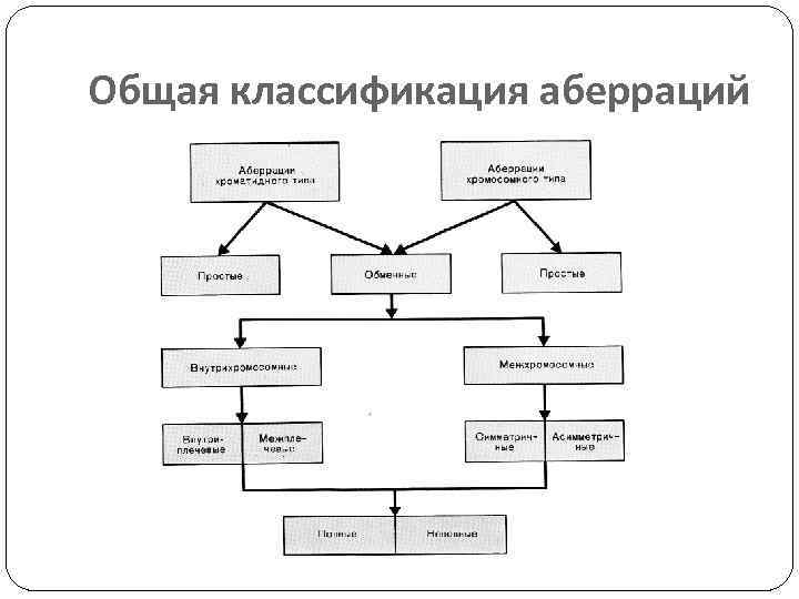 Общая классификация аберраций 