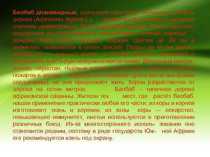 Баобаб дланевидный, адансония пальчатая, обезьянье хлебное дерево (Adansonia digitata L. ), – дерево 10