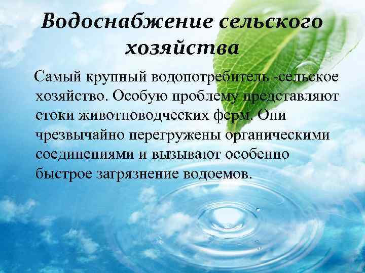 Водоснабжение сельского хозяйства Самый крупный водопотребитель -сельское хозяйство. Особую проблему представляют стоки животноводческих ферм.