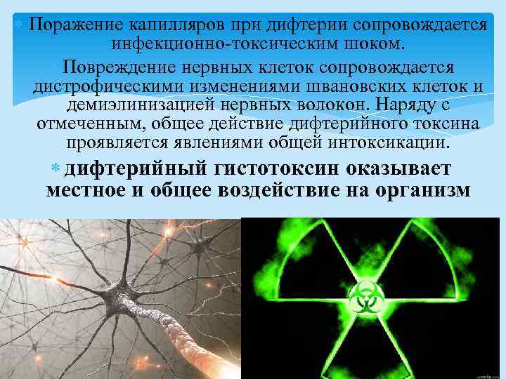  Поражение капилляров при дифтерии сопровождается инфекционно-токсическим шоком. Повреждение нервных клеток сопровождается дистрофическими изменениями