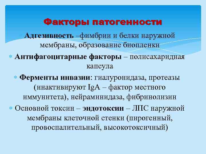 Факторы патогенности Адгезивность –фимбрии и белки наружной мембраны, образование биопленки Антифагоцитарные факторы – полисахаридная