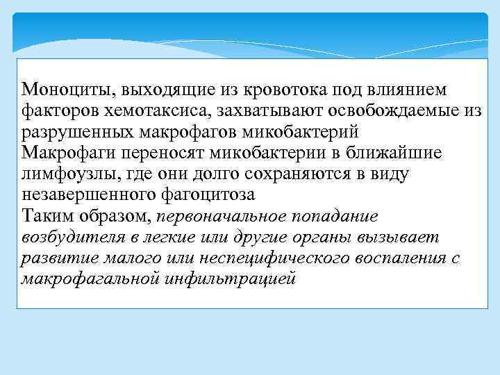 Моноциты, выходящие из кровотока под влиянием факторов хемотаксиса, захватывают освобождаемые из разрушенных макрофагов микобактерий