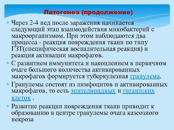 Патогенез (продолжение) Через 2 -4 нед после заражения начинается следующий этап взаимодействия микобактерий с