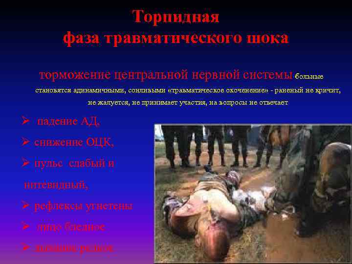 Торпидная фаза травматического шока торможение центральной нервной системы больные становятся адинамичными, сонливыми «травматическое окоченение»