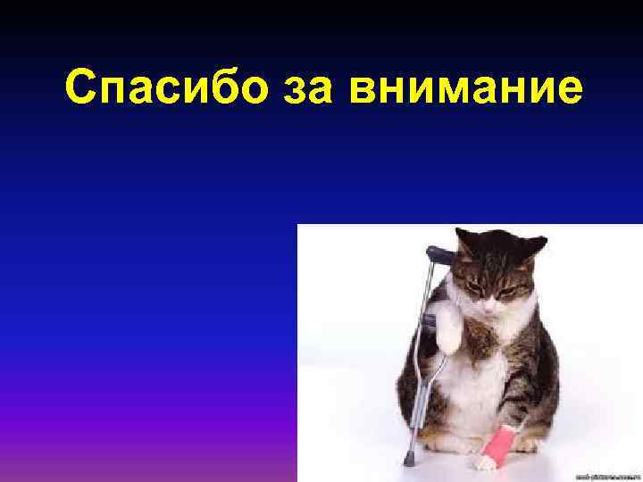 Спасибо за внимание 