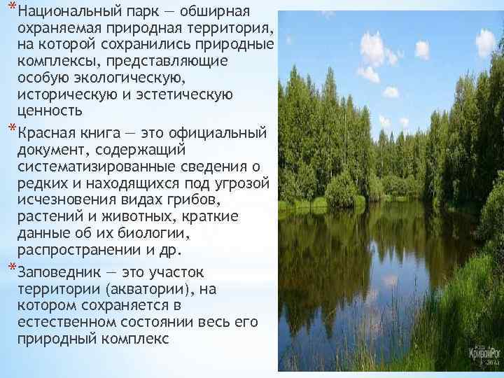 Особый природный комплекс. Природный комплекс Саранск. Природные комплексы Барыша. Деревья, представляющие особую эстетическую ценность.