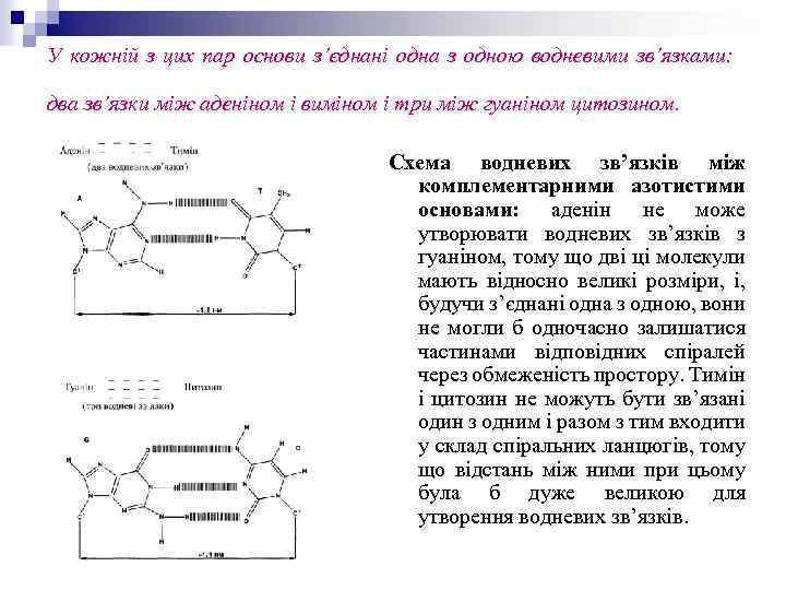 У кожній з цих пар основи з’єднані одна з одною водневими зв’язками: два зв’язки
