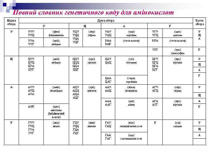 Повний словник генетичного коду для амінокислот Перша літера У Друга літера У Ц (фен)